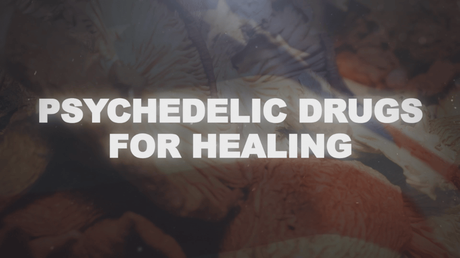 Psychedelic Drugs for Healing, Not a High- Blog