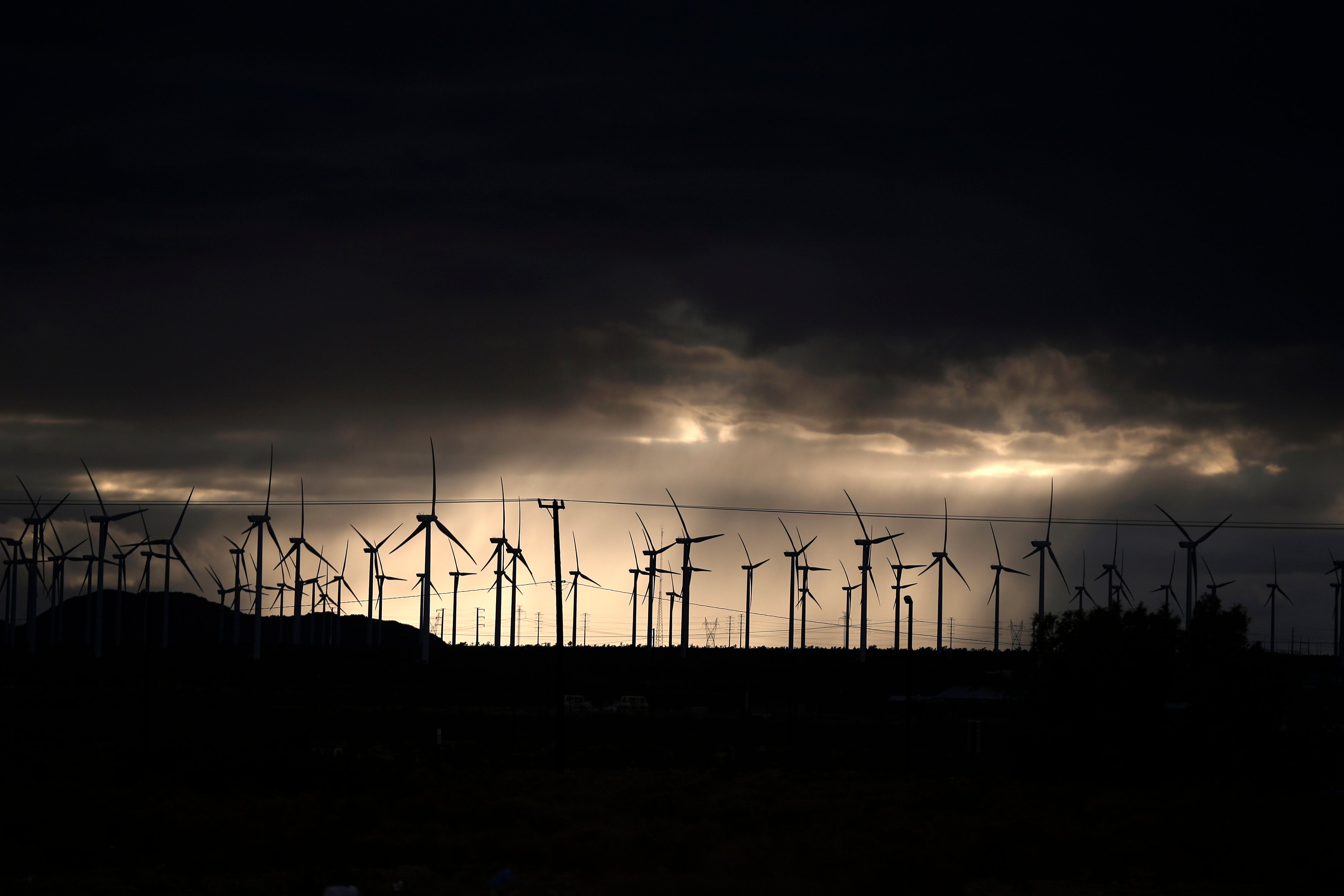 Trump executive order seeks end to wind and solar energy subsidies