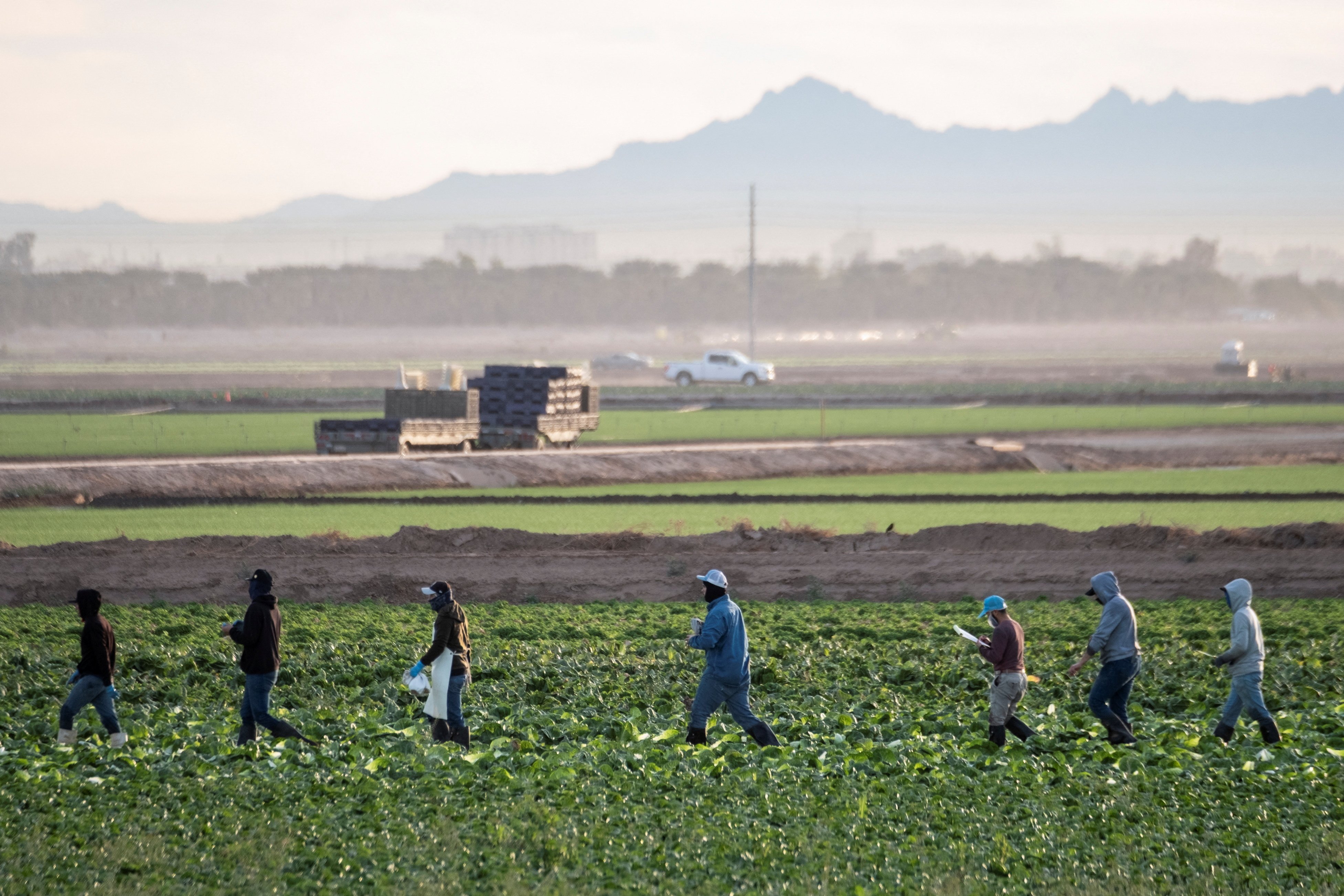 Trump administration suspends enforcement of Biden-era farmworker rule