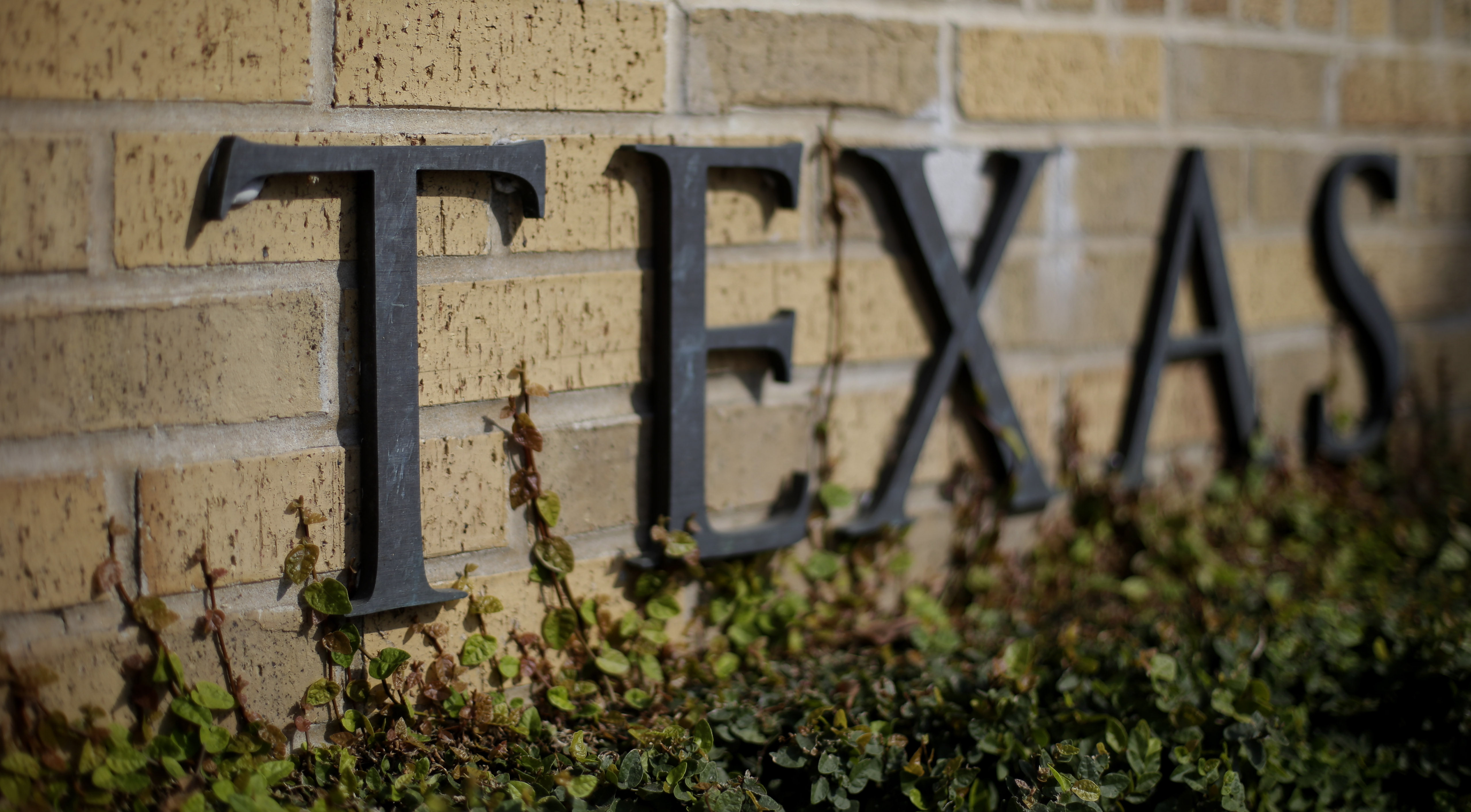 Texas photojournalist faces assault charge after arrest during UT protest