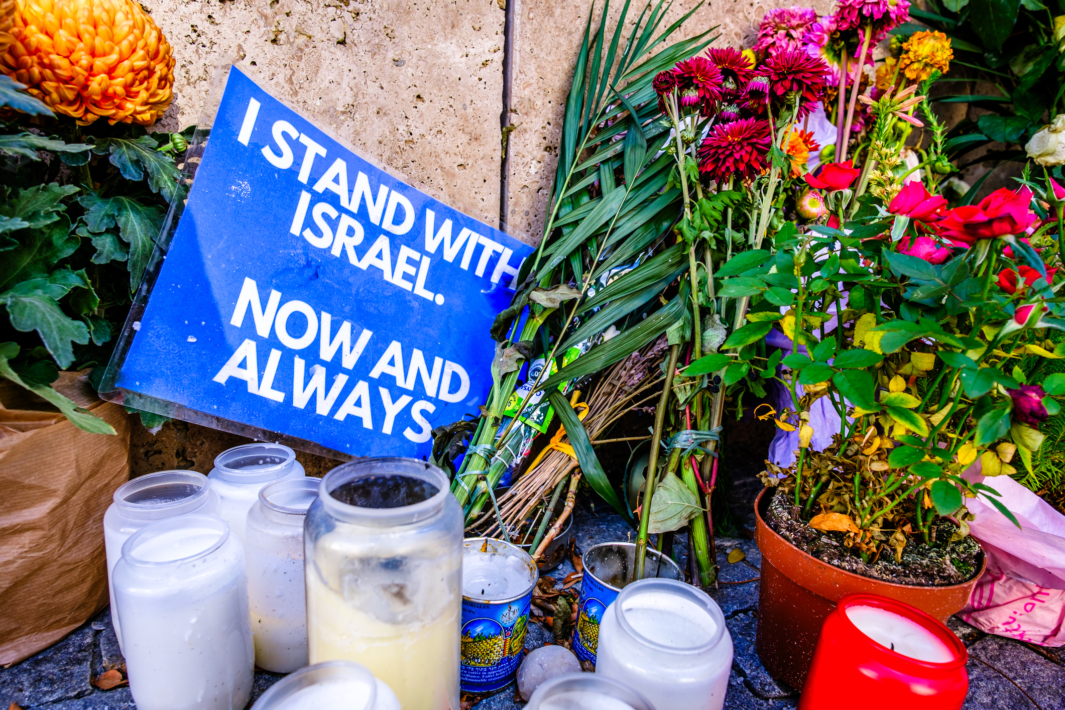 Poll: Pro-Palestinian campus protests increasing voter support for Israel