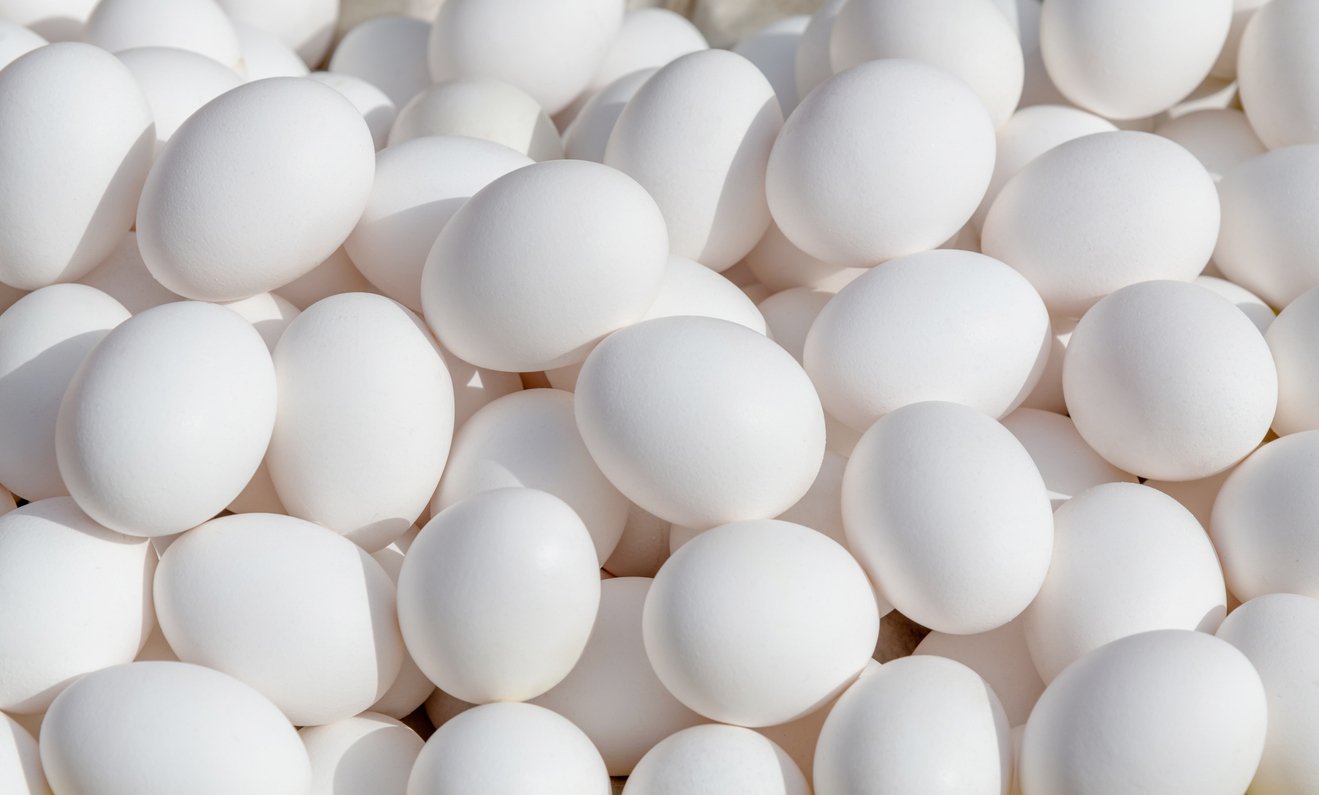 US government sues California over egg prices